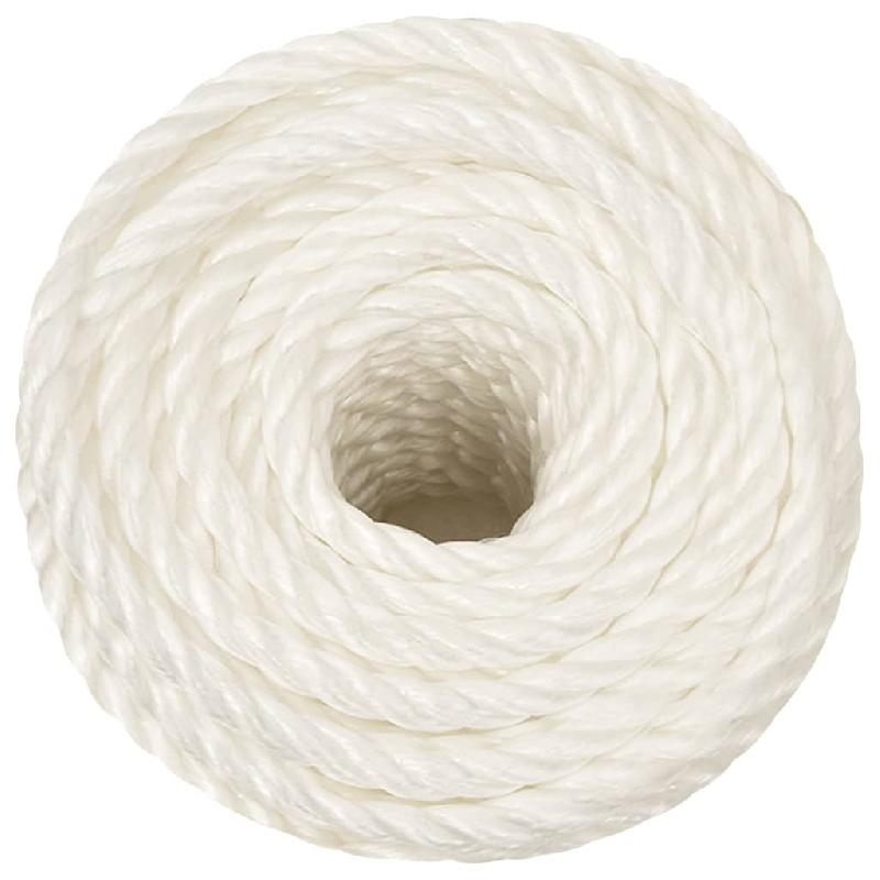 Vidaxl corde de travail blanc 12 mm 500 m polypropylène 153059_1