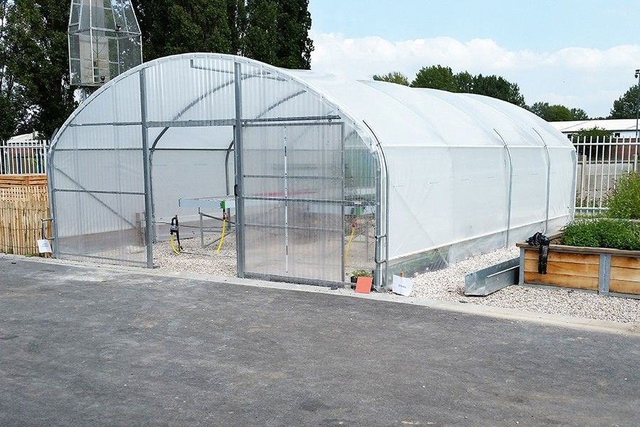 Tunnel horticole 6 m pour exploitations maraîchères