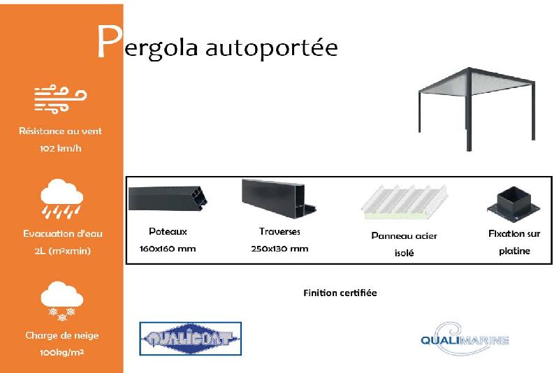Pergola mono pan autoportée_1