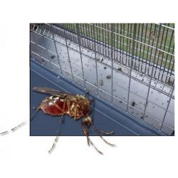 Lampe électrique anti insecte solaire - RÉF. DRA09-ET - Protection jusqu'à 8 hectares - Panneau solaire 48W_1