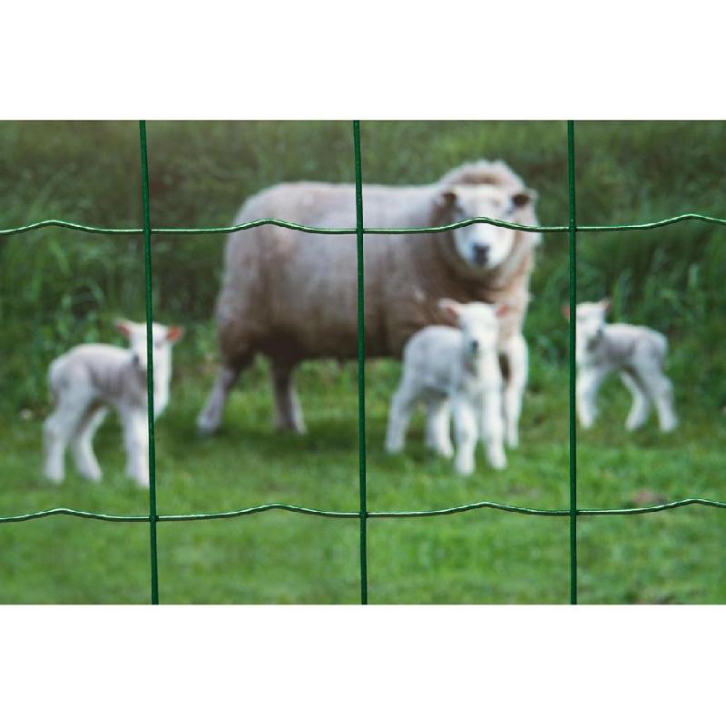Nature grillage métallique rectangulaire 0,8 x 10 m vert 409381_1
