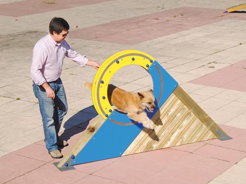 Roue edu can agility parcours canin_1