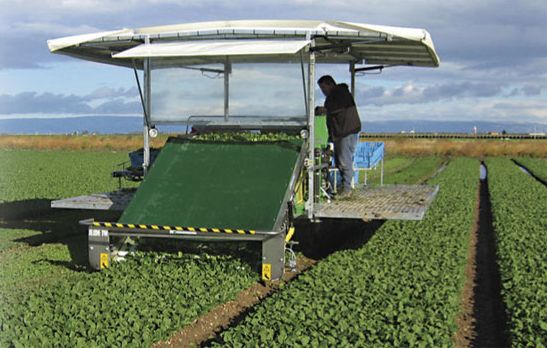 Récolteuse automotrice Slide Trax Small - Hortech SRL - chenilles, 26 kW, légumes à feuille_1