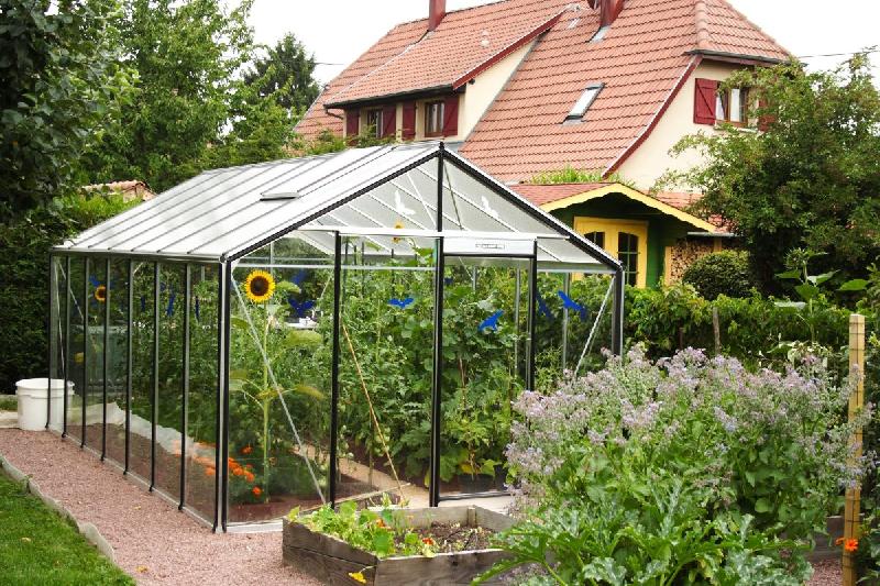 R307H Serres à parois droites - Toiture et parois en verre sécurit, structure aluminium, garantie 12 ans_1