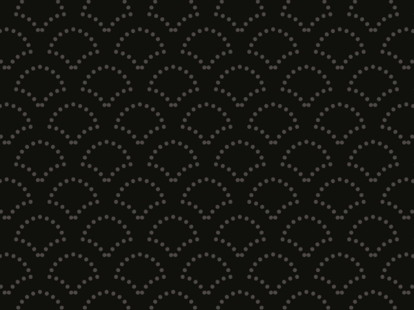 Cloison coulissante 2 vantaux - Osaka Black - sur mesure - Tisalia_1