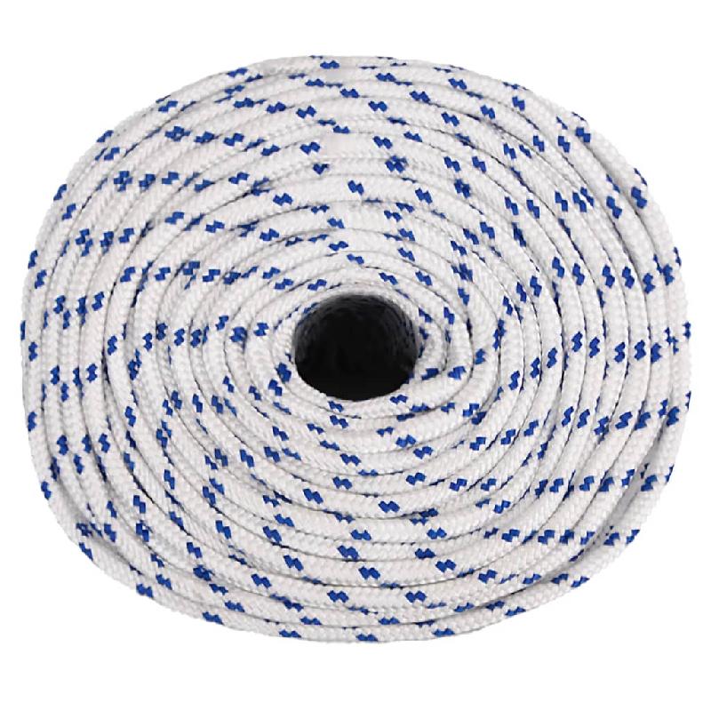 Vidaxl corde de bateau blanc 10 mm 100 m polypropylène 152296_1
