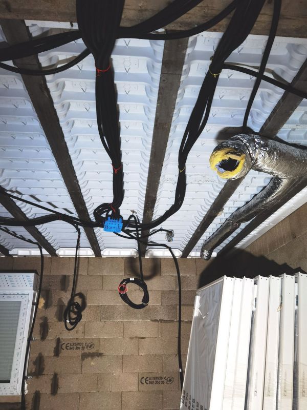 Pieuvres électriques - afp elec_1