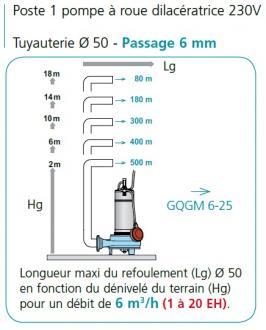 Poste de relevage avec pompe dilacératrice - 304252_1