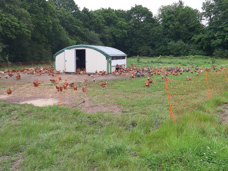 Tunnel déplaçable 30m² - structure galvanisée, isolation en laine de verre, couverture personnalisable_1