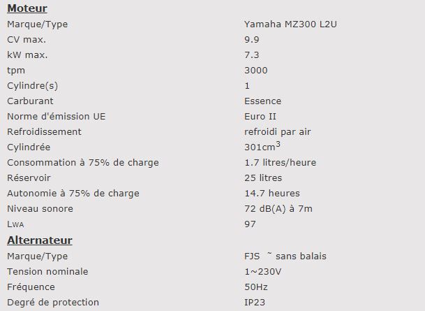 Groupe électrogène Ez4000l - Europower - 961000400 - 4 kVA max - 230V_1