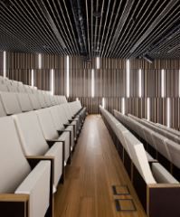 Fauteuil d'amphithéâtre et d'auditorium en mousse injectée_2