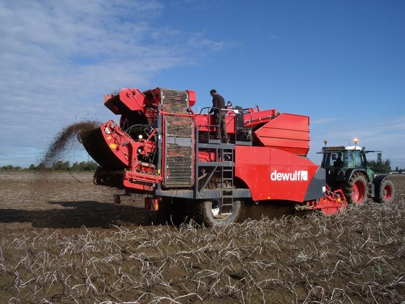 Arracheuse par tamissage r2060 - dewulf bv - capacité du trémie 7 t_1