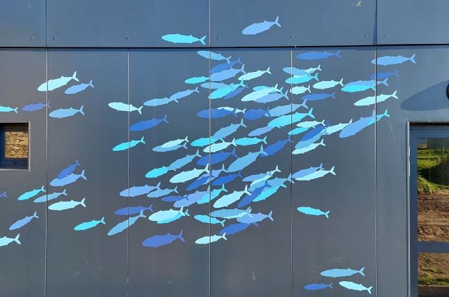 Bureau modulaire - Salle associative - Charpente métallique et étanchéité multicouche - Construction sur mesure_1