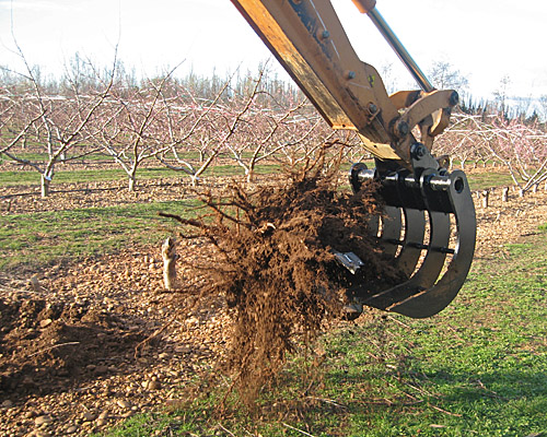 Godet griffe (fléco) nr inov concept_1