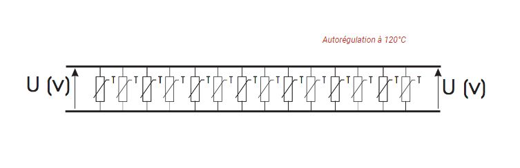 Câbles chauffants autorégulants - Technitrace CAHT/EX - Longueur maximale : 110 m - Haute température - ATEX_1