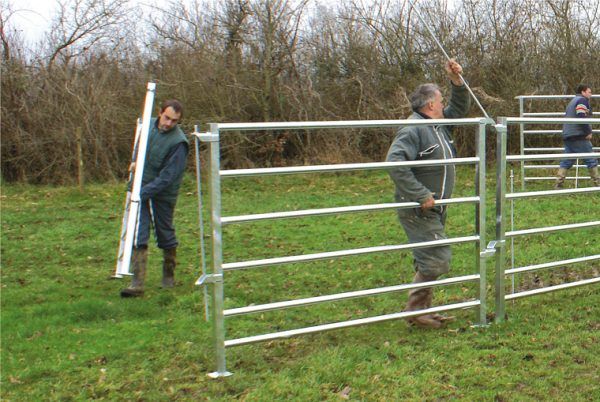 CBC 2006 - Barrière de contention agricole 6 lisses - 3m x 1,5m pour gros bovins_1