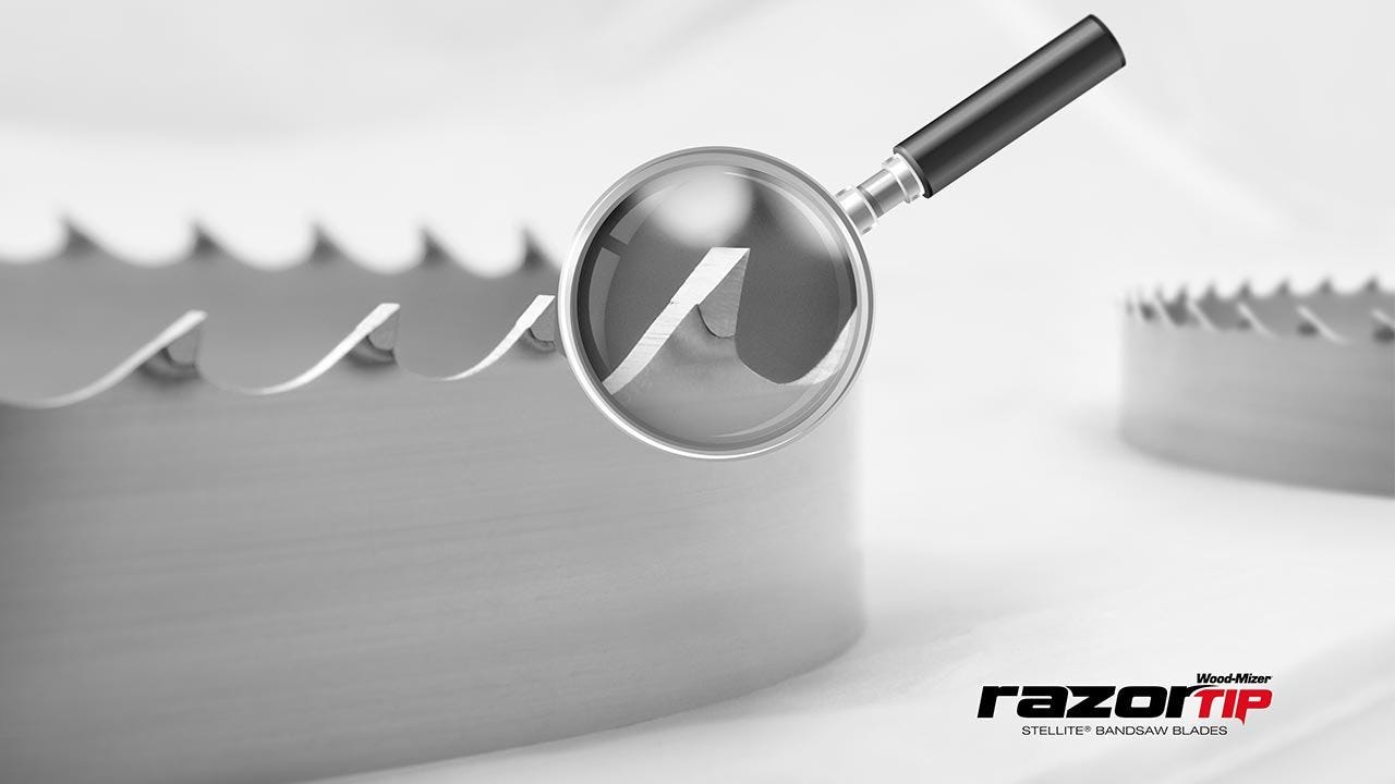 Lame de scie Wood-Mizer avec dents à pointe Stellite