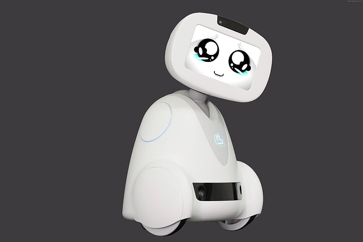 Robot assistif avec fonctions de rappel et maison connectée