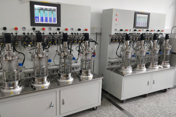 Fermenteur multiple de paillasse en verre - jusqu'à 24 unités indépendantes - volumes de 0,2 à 10L_1