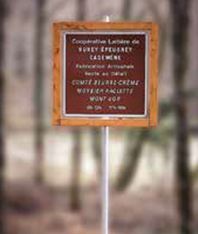 Panneau d'affichage extérieur simple ou double face - Ossature bois lamellé collé 140 x 140 mm - Gamme PÉTREL_1