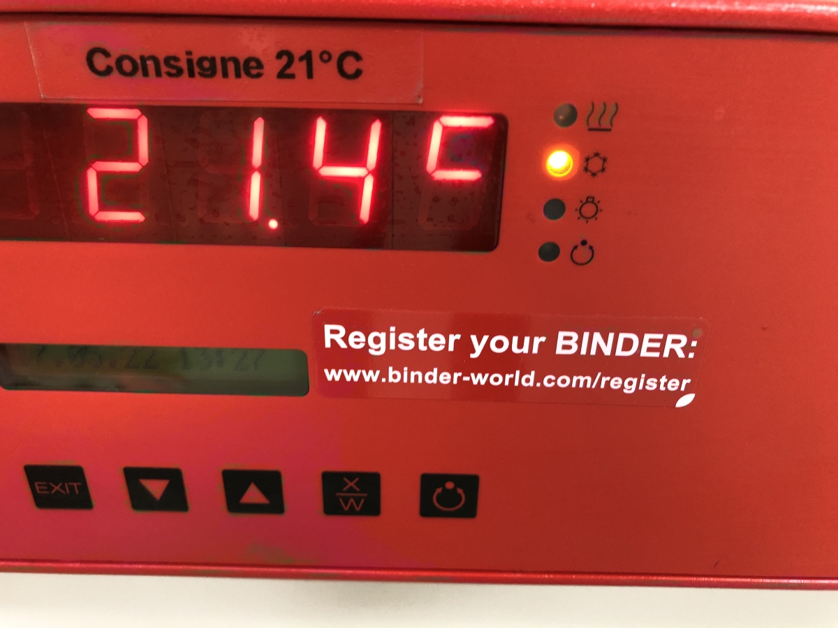 Incubateur réfrigéré de laboratoire - Occasion - binder kb53_1