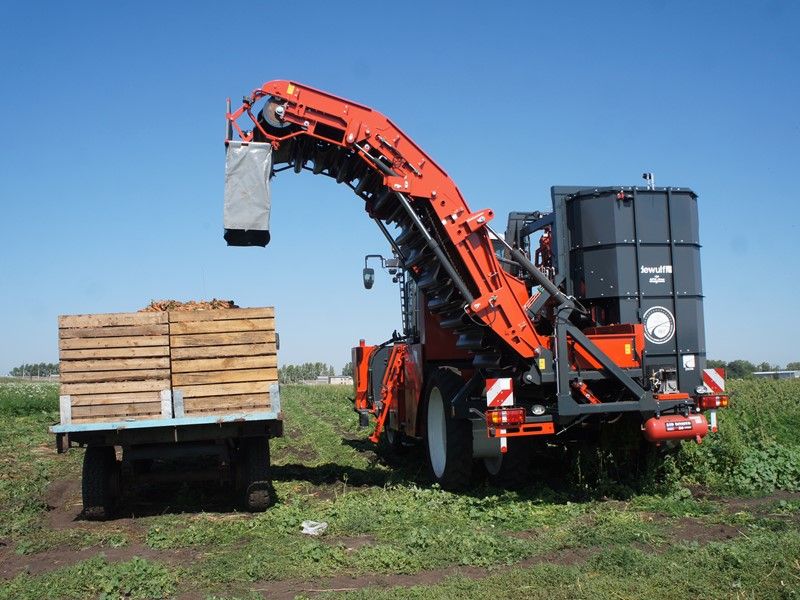 Arracheuse par préhension ZKIISE - Dewulf BV - 3 à 4 ha/j - Largeur 3290 mm - Automotrice, 2 rangs, tapis à tétines_1