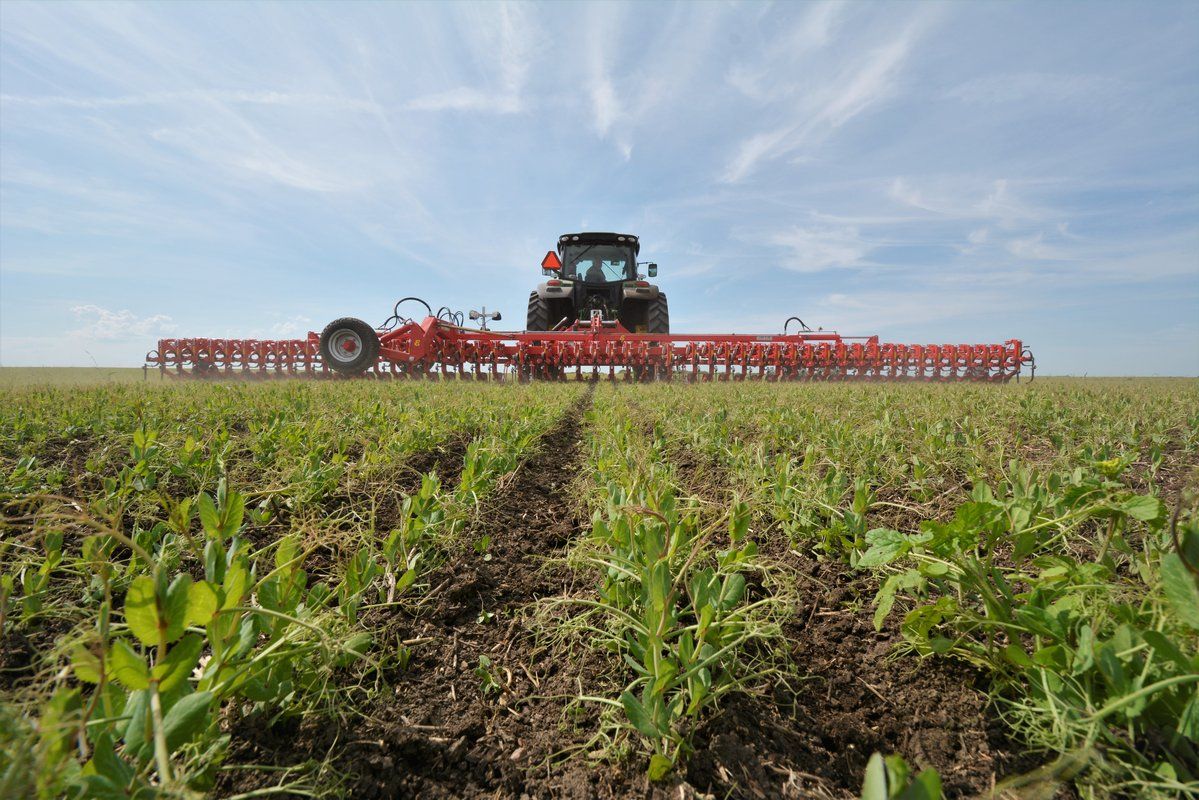 Outil agricole Chopstar 1-30 adapté aux inter-rangs jusqu'à 30 cm