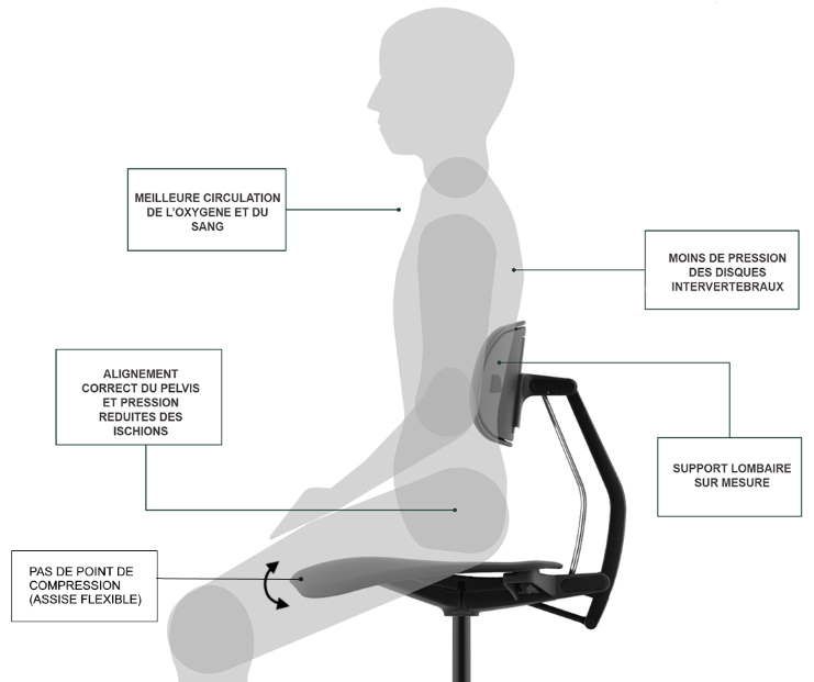 Fauteuil de bureau ergonomique ERGOKI - pour positions assis, assis-debout et debout - dossier réglable et assise flexible_1