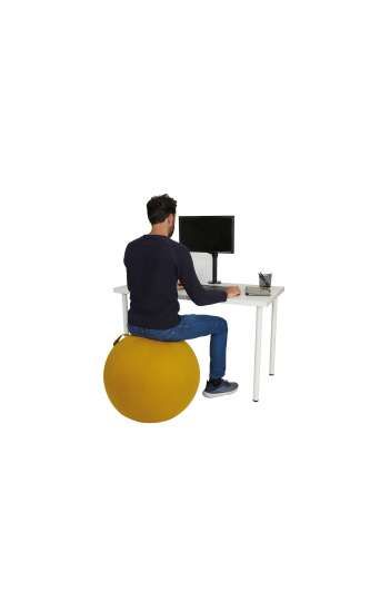 Ballon ergonomique pour bureau - prévention TMS - poignée intégrée - diamètre 65 cm_1