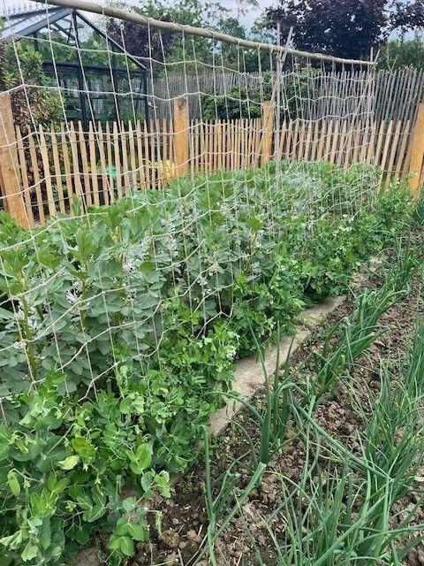 Filet à ramer en jute - Mailles carrées 12x12 cm - Dimensions 2m x 5m - Référence 883014_1