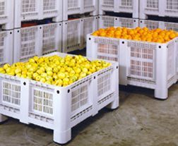 Caisse-palette en plastique gerbable - Parois pleines ou ajourées - Normes Europe - Capacités de 250 à 1060 L_1