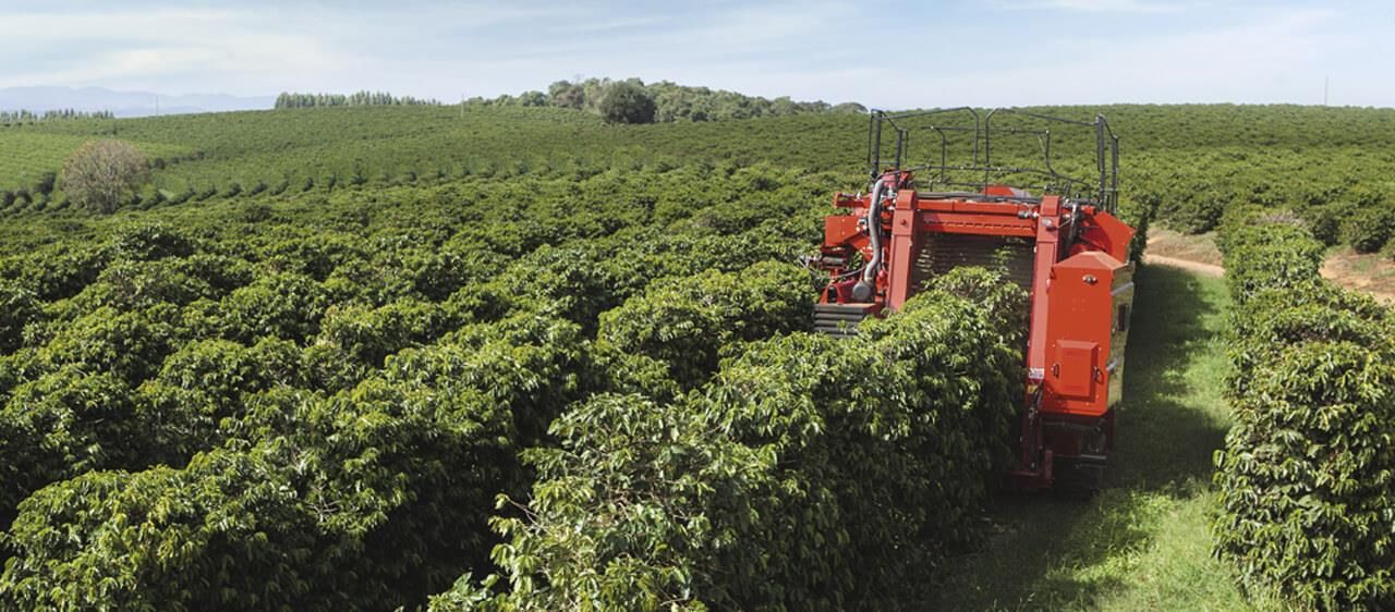 Récolteuse de café coffee express 200 multi - case ih - largeur de travail 3500 et 3550 mm_1