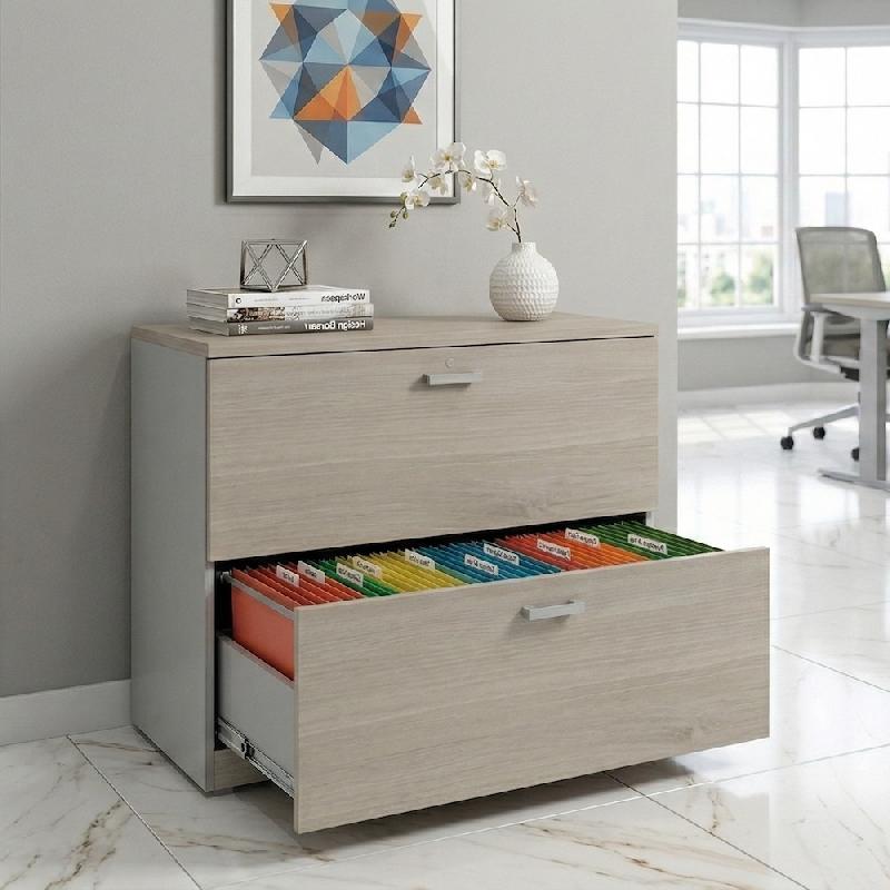 Classeur de Bureau Compact : Rangement Professionnel 2 Tiroirs pour Dossiers Suspendus - 60, Gris aluminium, Acacia clair_2