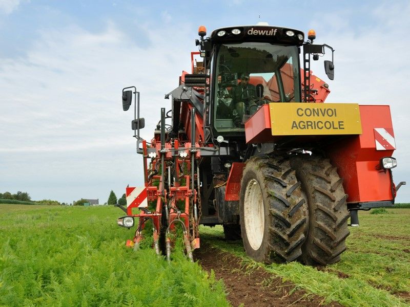 Arracheuse par préhension ZBII - Dewulf BV - trémie 9 m³ - largeur 3500 mm - 2 rangs_1