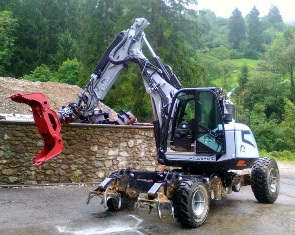 R1253 pelle araignée très compacte_1