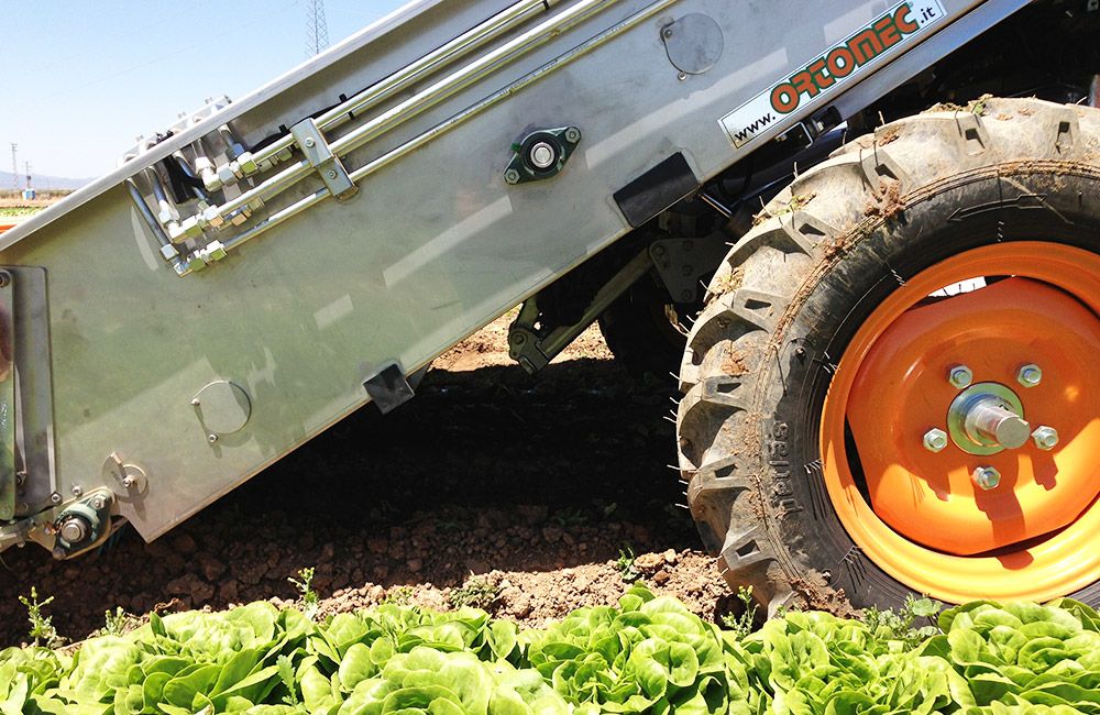 Récolteuse de légumes automotrice 8000 Lattuga - Ortomec SRL - largeur de la tête de récolte 120 à 180 cm_1