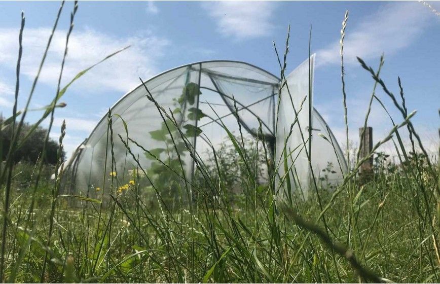 Serre de jardin avec aérations latérales et pieds droits de  0,50 m de haut - GOTHIQUE_2