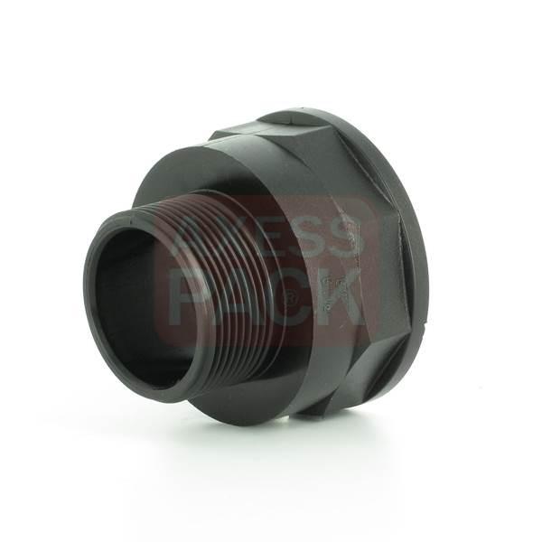 Réduction - Femelle 2