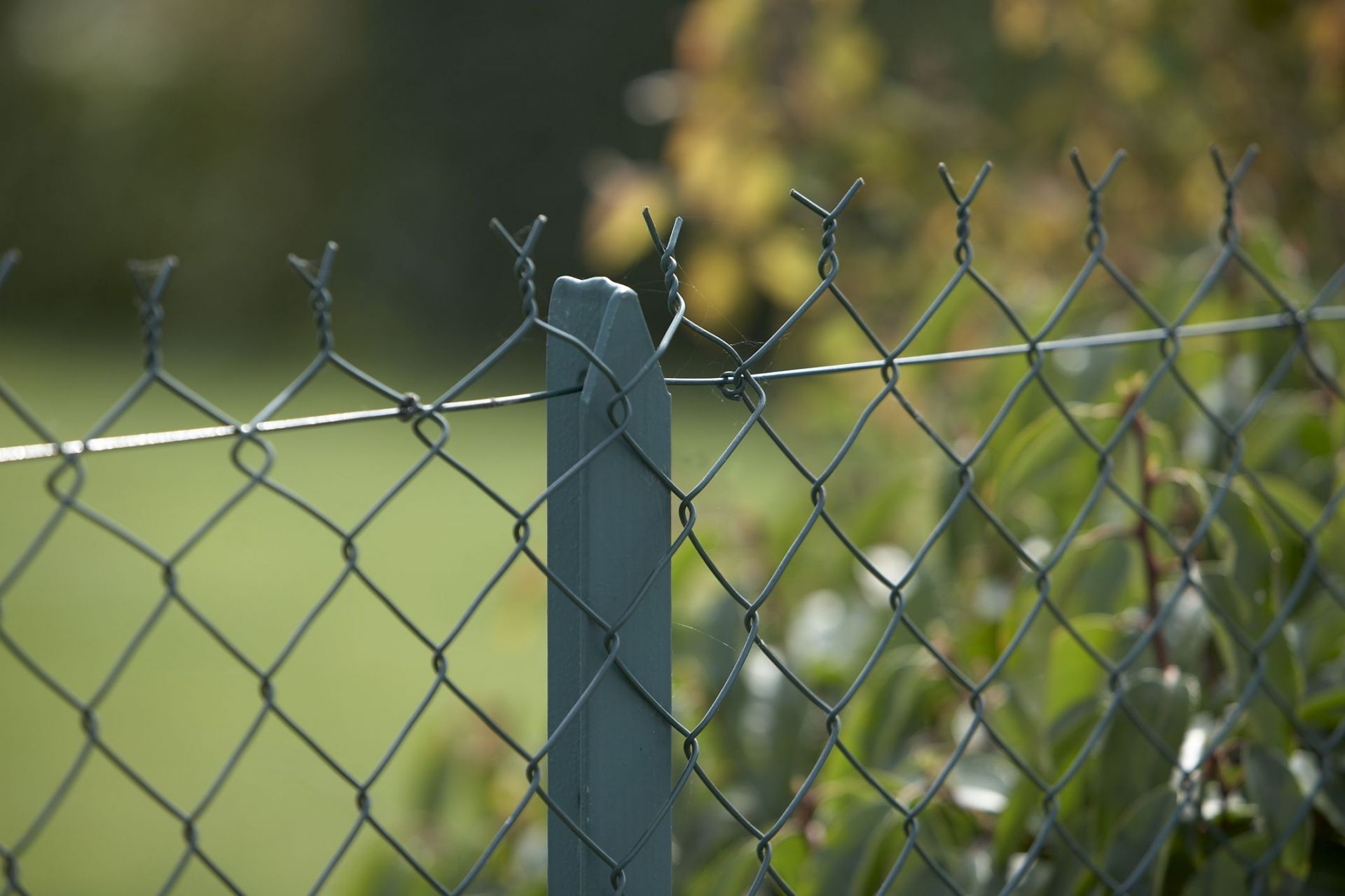 Clôture en rouleaux Simple Torsion_2