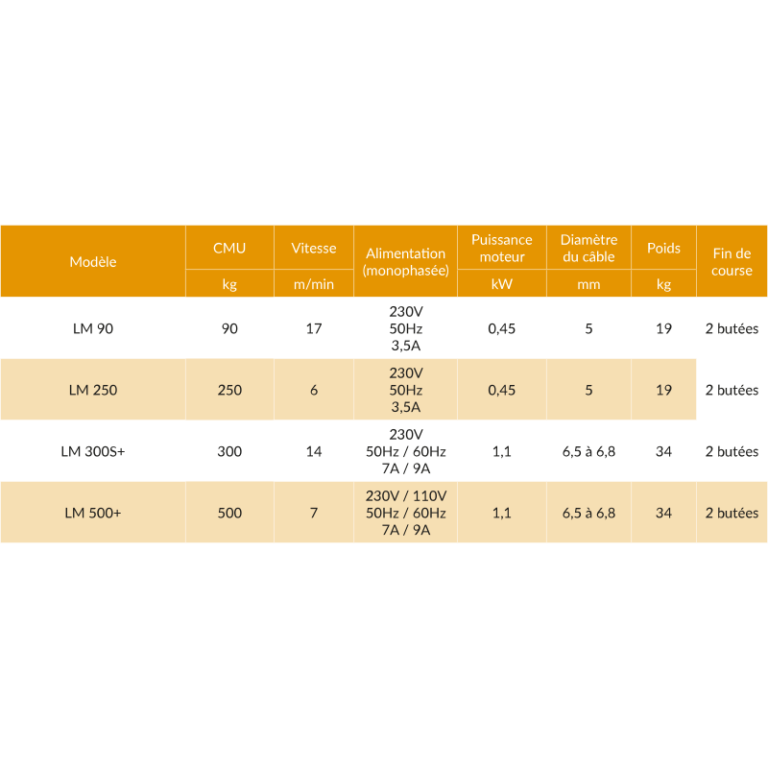 Treuil de levage de matériel LM - capacité 0,09t à 0,5t - câble passant - REF : 62300_1