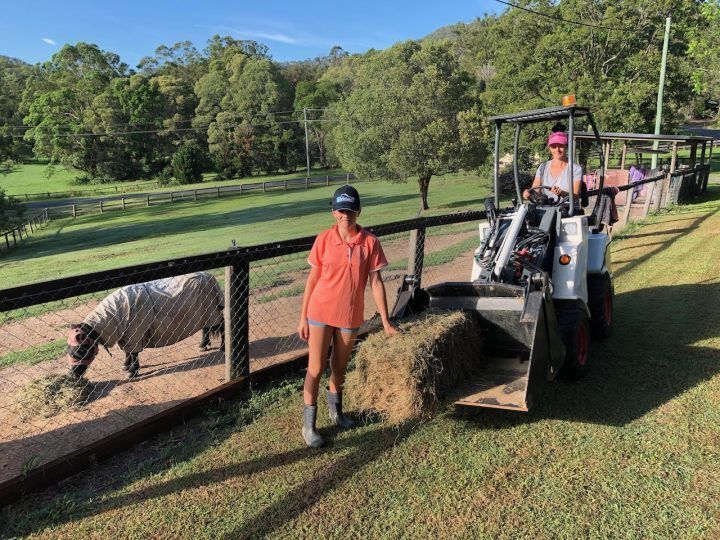 Mini chargeuse hydrostatique avec capacité de levage 700 kg