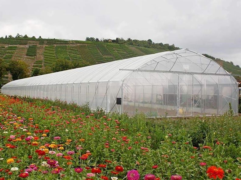 Serre à travée unique idéale pour la production horticole et le stockage de matériel agricole - Easyart_0