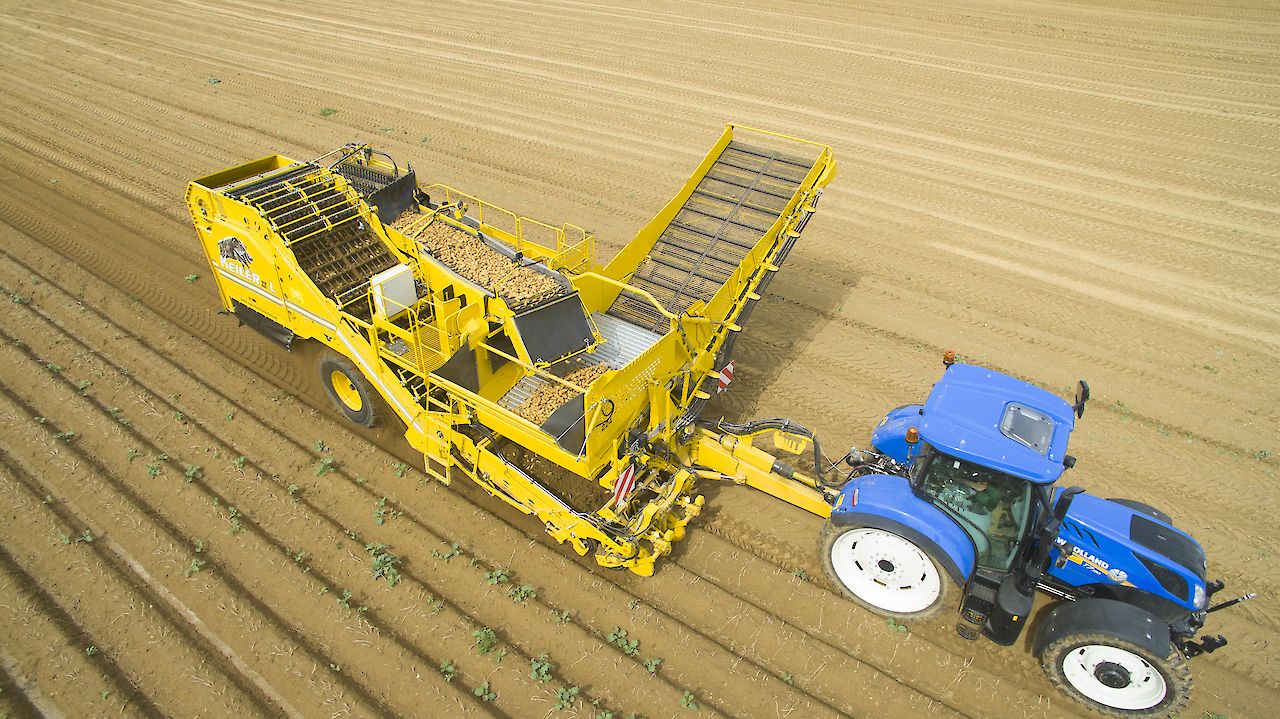 Arracheuse de pommes de terre ROPA Keiler 2L - trémie 5,5 t - entraînement hydraulique_1