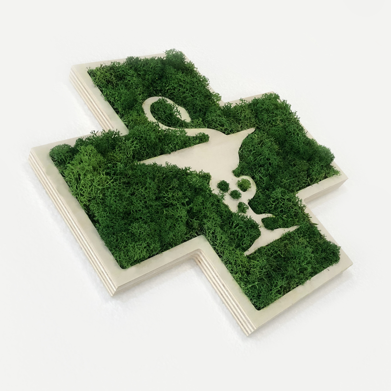 Croix de pharmacie végétales - Vert Citron, Lichen scandinave pour l'intérieur uniquement, Style 3_1