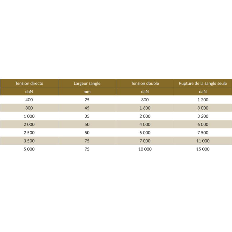 Sangle d'arrimage à fibre polyester - REF : 72100 - avec crochets doigts serrés et tendeur à cliquet en acier galvanisé_1
