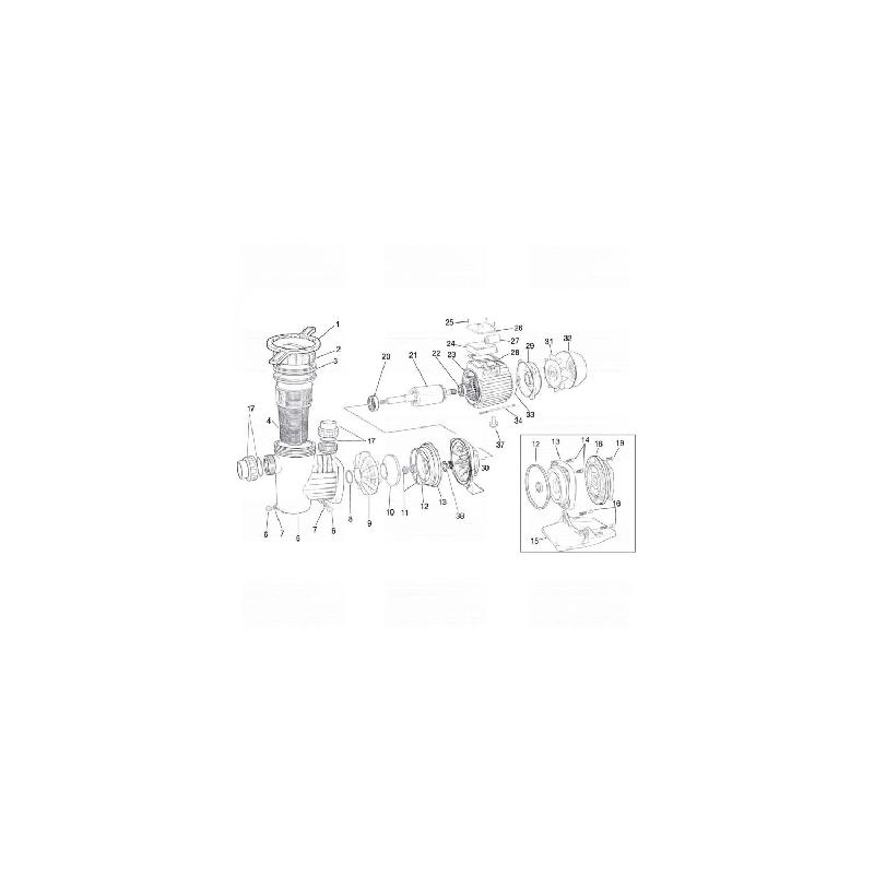 Pompe de filtration piscine villabella PEDROLLO 100 triphasé 230/400v - 0.75kw - 18m3/h_1