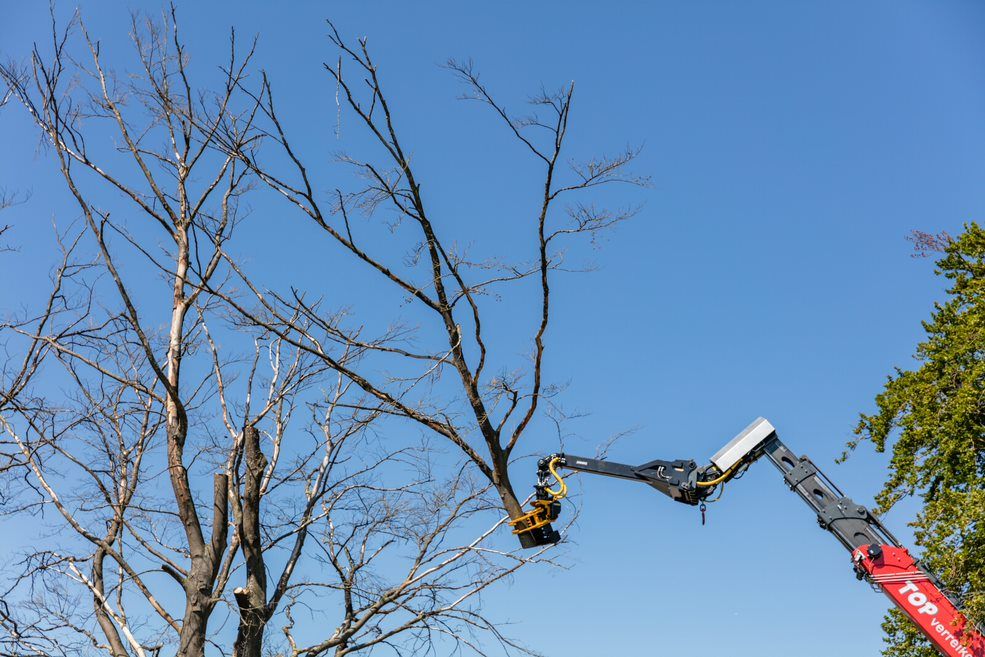Grappin coupeur tronconneuse pour chariot telescopique_1
