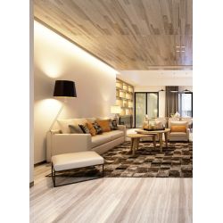 Ruban LED HEXALINE COB 60W 24V - Éclairage uniforme en ligne continue avec confort visuel inégalé_1