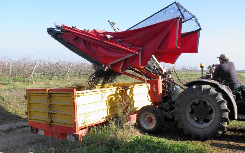 Pick mt - vibreur d'arbre fruitier - arcusin - adaptabilité facile_1