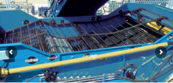 Arracheuse-ramasseuse de pommes de terre Senior - Spedo F.lli S.R.L - puissance 80 HP - rendement 2 à 5 ha/jour_1